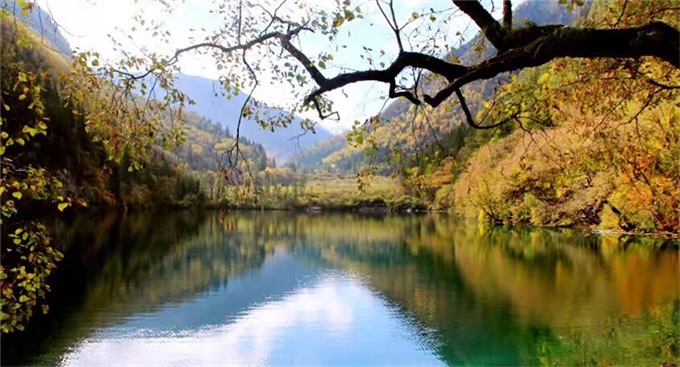 pg电子模拟器(中国)官方网站