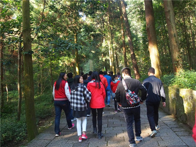 pg电子模拟器(中国)官方网站